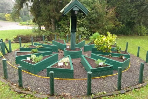 Restauração da horta comunitária e plantio de novas mudas