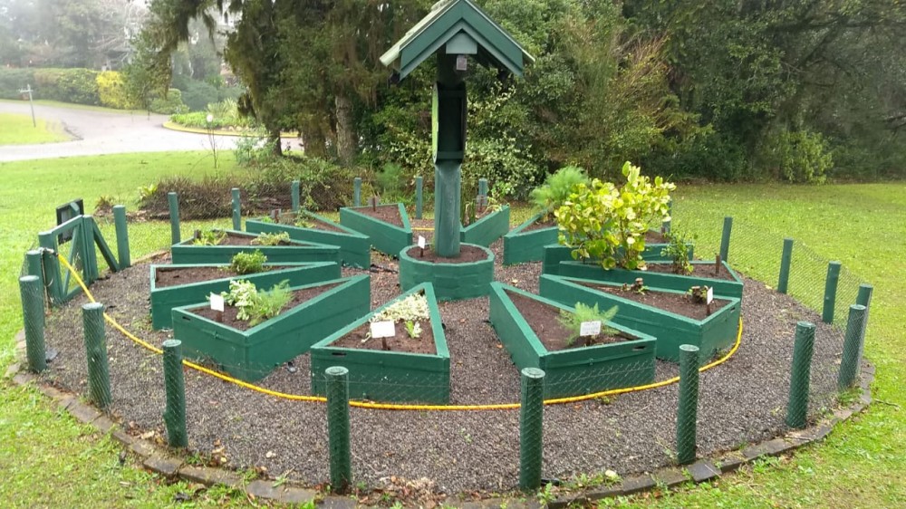 Restauração da horta comunitária e plantio de novas mudas